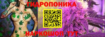spice Кулебаки
