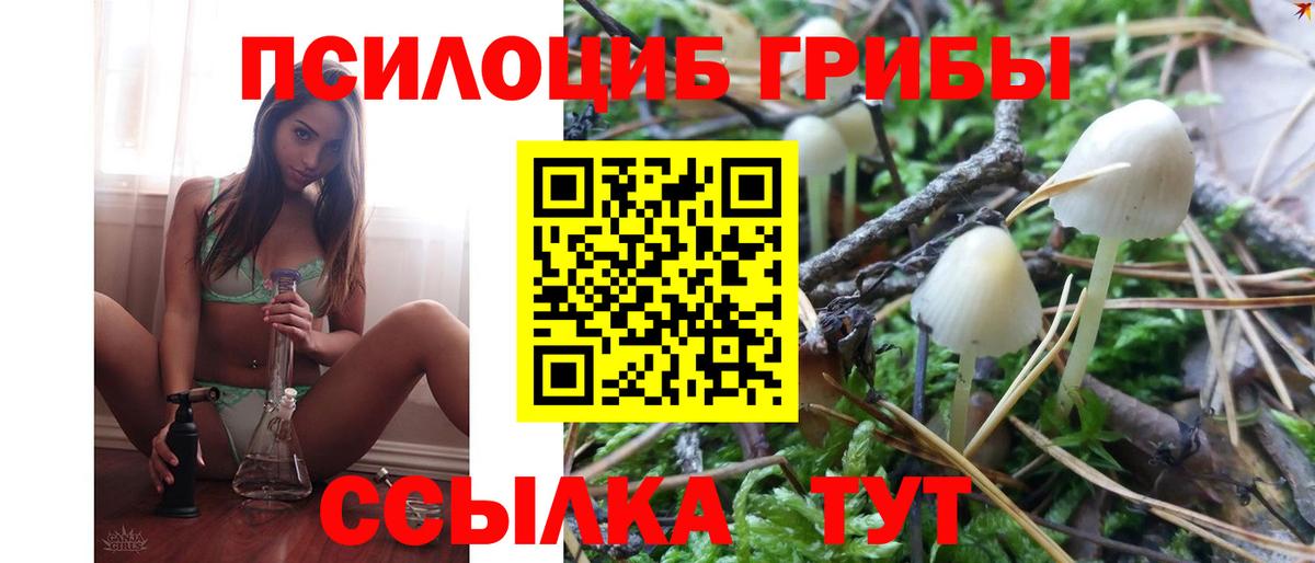 Галлюциногенные грибы Cubensis Сланцы