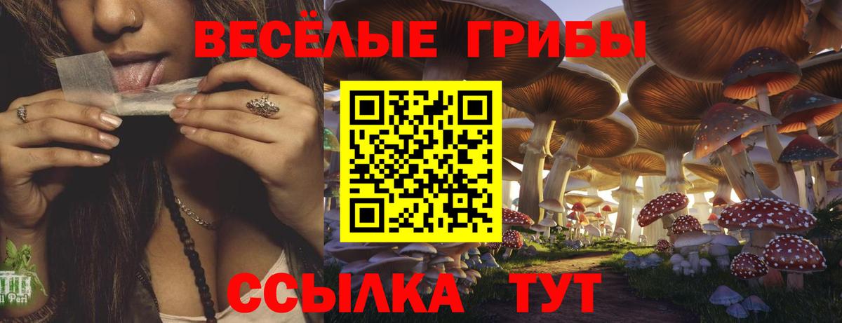 Alpha PVP Сланцы