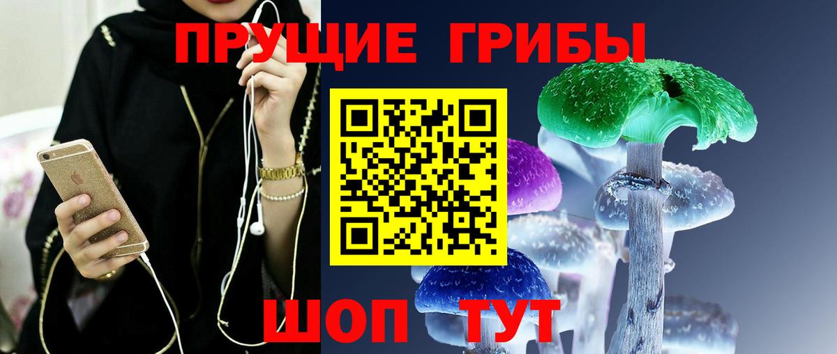 Галлюциногенные грибы MAGIC MUSHROOMS  Галлюциногенные грибы Magic Shrooms  Сланцы  закладка  Вход с VPN 